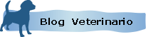 Blog Veterinario con datos practicos para Mascotas