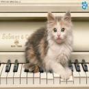 Gatitos Tiernos