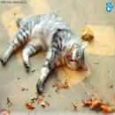 Gatos Descansando