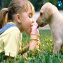 Perros Tiernos