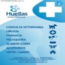 Flayer Promocional Clinica Veterinaria